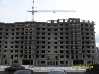 Утиный плес, д.8 - Фото строительства