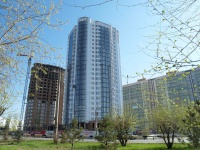 Коломенский, д.1а