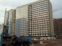 Белые росы, д.20 - Фото строительства