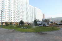 Белые росы - Фото объекта