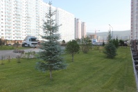 Белые росы - Фото объекта
