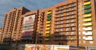 Снегири, д.1